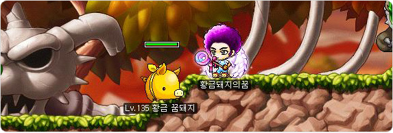 Hunting the Golden Pig