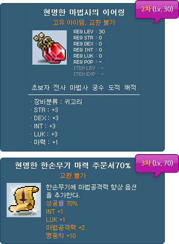 Wise Magician's Earring and Scroll