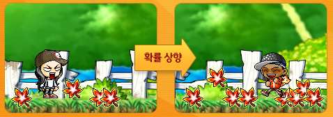 Maple Leaf Droprate Increased