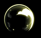 Immune Barrier Effect