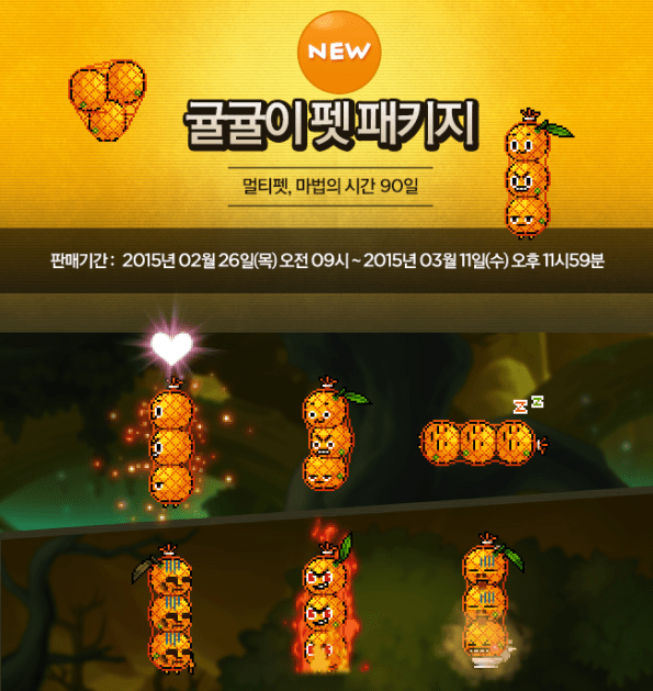 Tangerine Pet Package