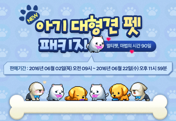 Little Big Dog Pets.png