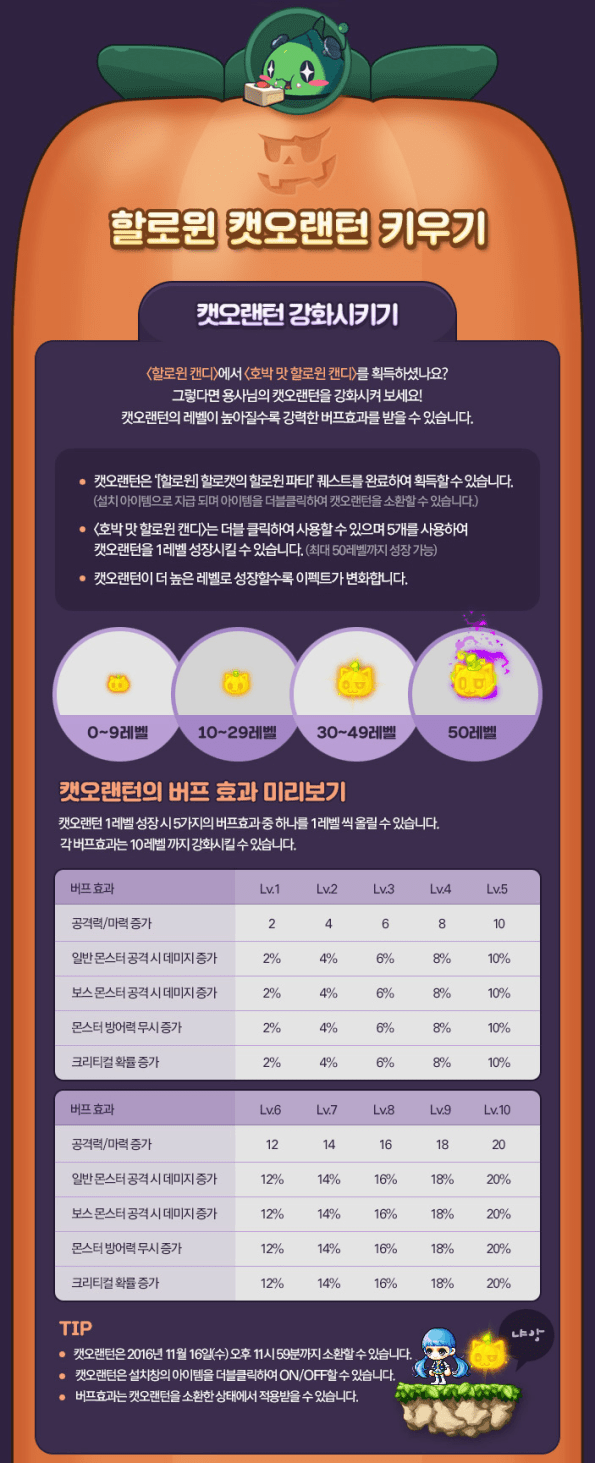 halloween-cat-o-lantern