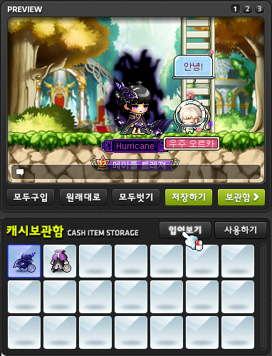 Cash Item Storage Preview