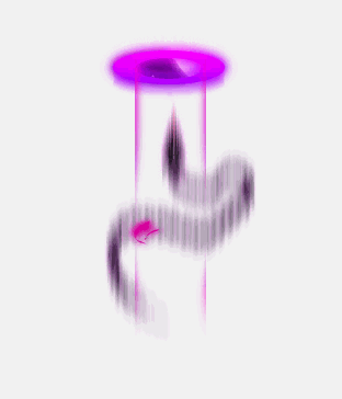 Merchant Return Effect