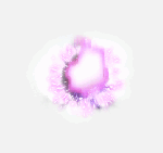 Other World’s Papulatus