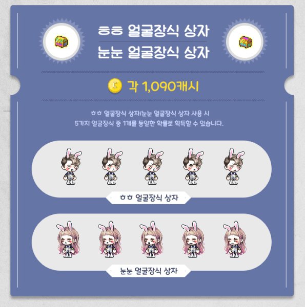 Face Accessory Boxes