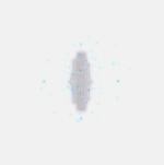 relic evolution effect