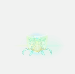 Transcendent Cygnus’ Blessing&nbsp;Effect