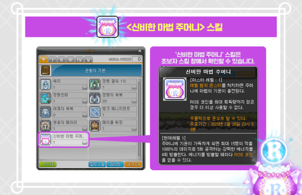 Mysterious Magic Pouch Skill