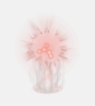 Afterimage Shock Effect