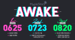 MapleStory Awake