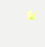 Royal Knights Effect&nbsp;(1)