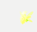 Royal Knights Effect&nbsp;(3)