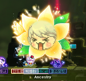 Evening Primrose Face Chair