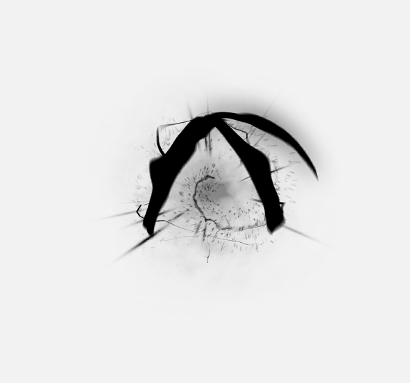 To Toolen City Effect