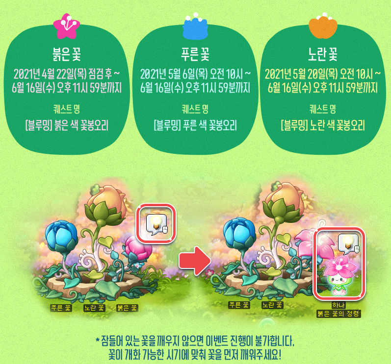 Three Blooming Flowers