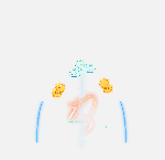 Large Stretch Effect