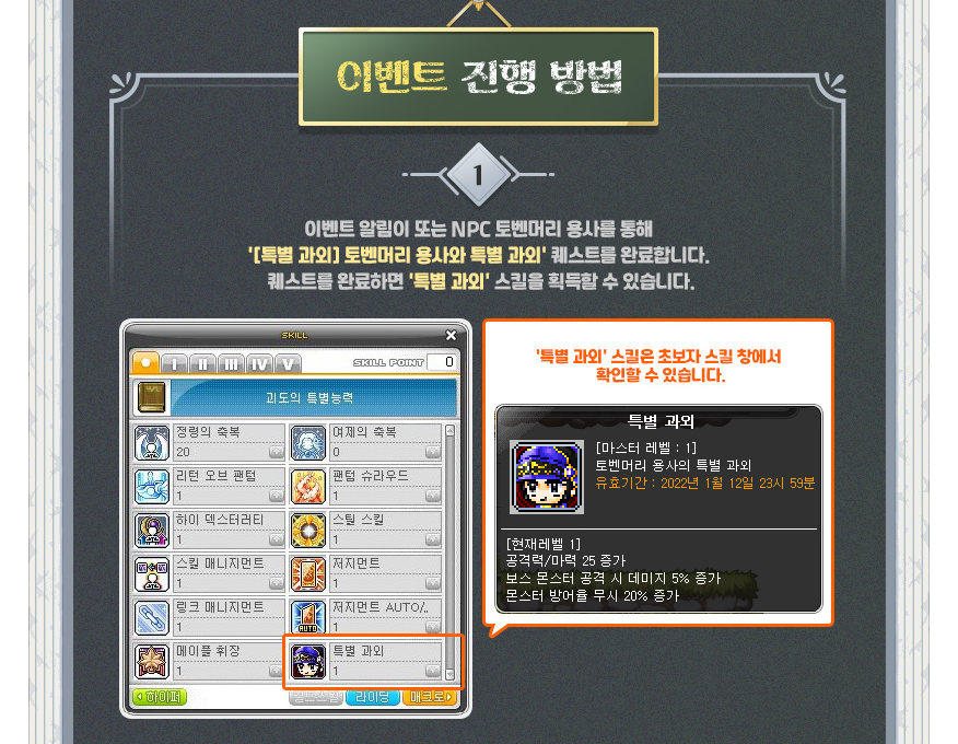 Special Lessons Skill