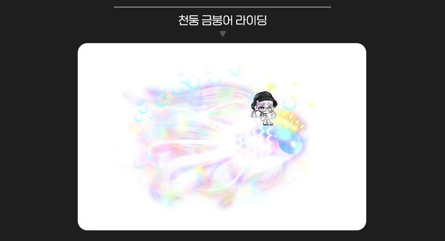 Thunder Goldfish Riding