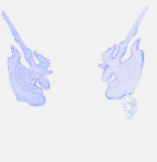 Beyonder VI Effect&nbsp;3